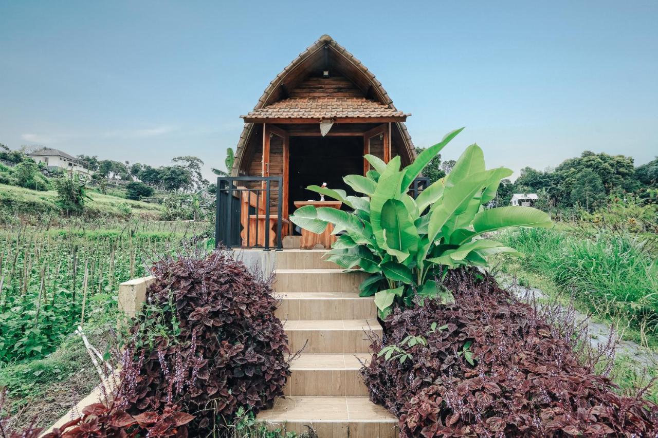 Tunjung Sari Villa Bedugul Bedugul  Buitenkant foto