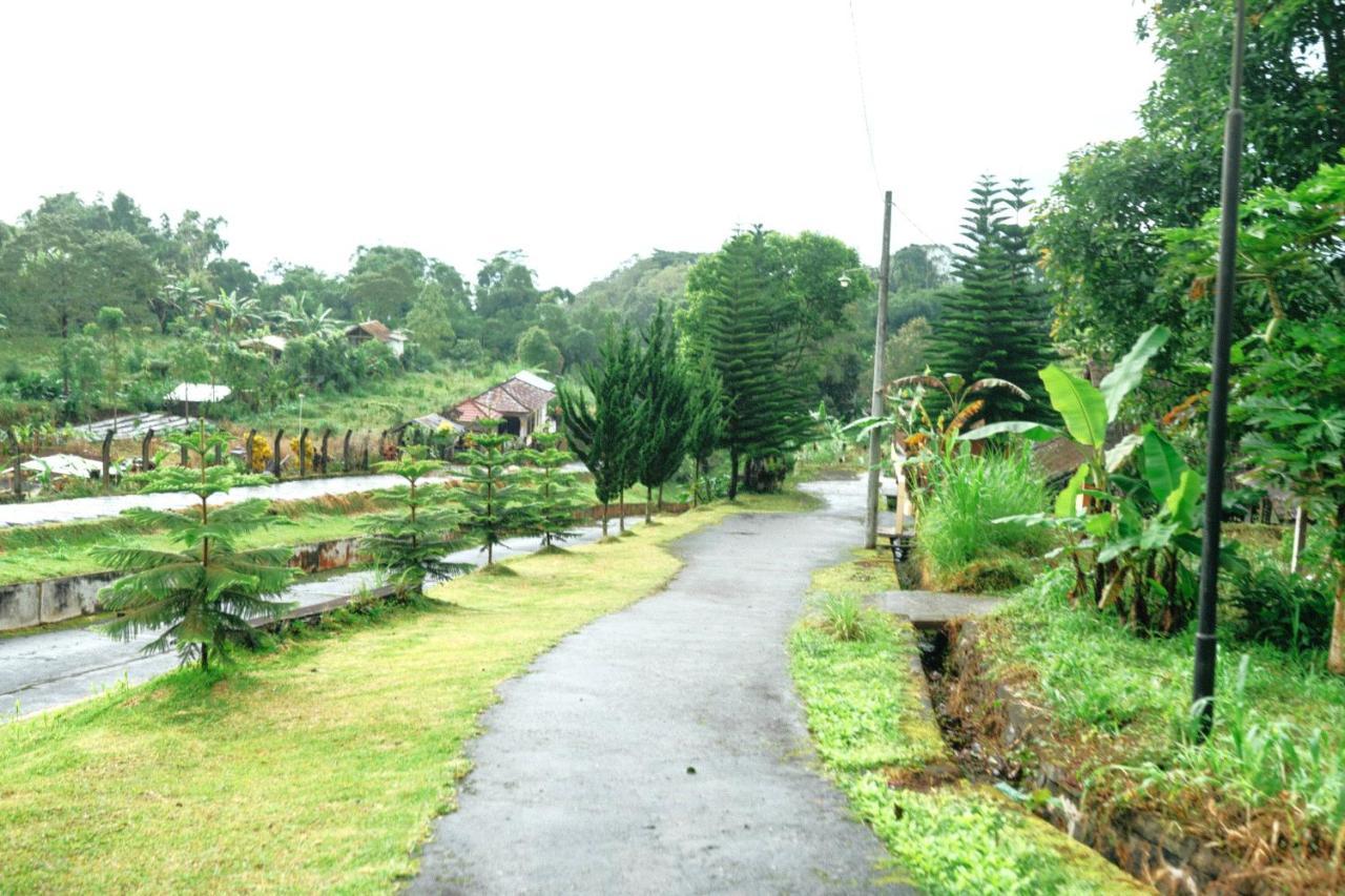 Tunjung Sari Villa Bedugul Bedugul  Buitenkant foto