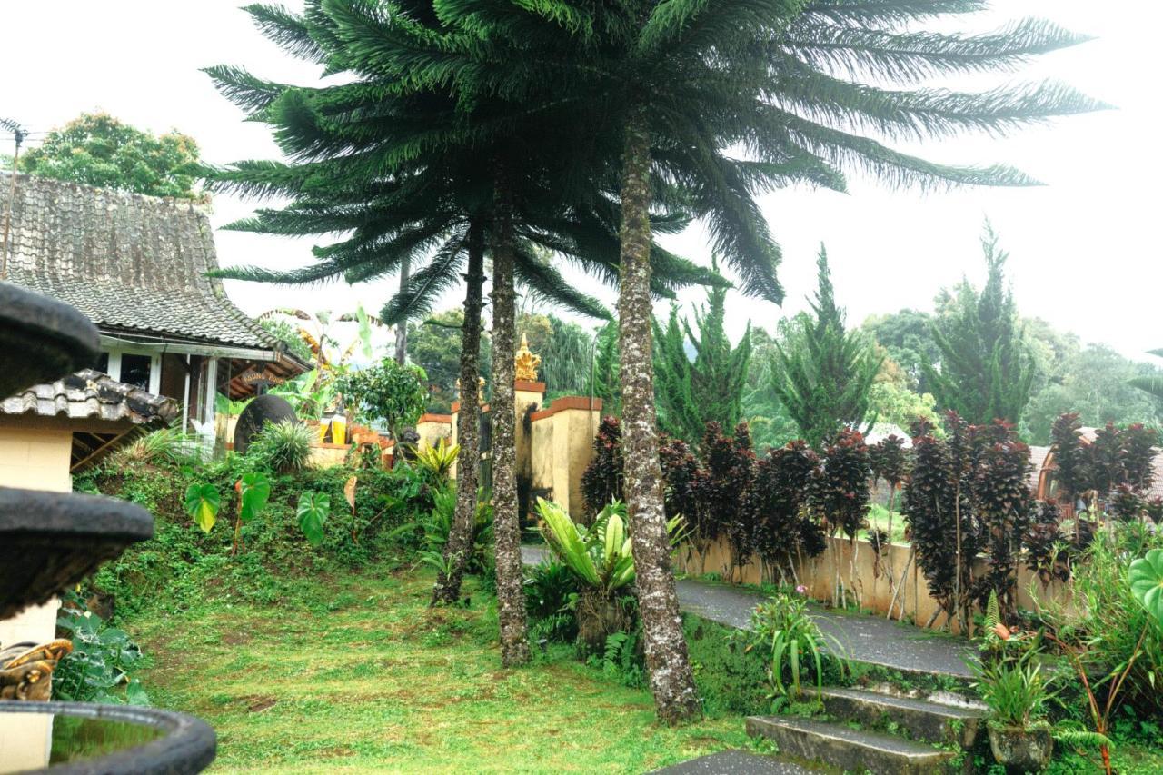Tunjung Sari Villa Bedugul Bedugul  Buitenkant foto